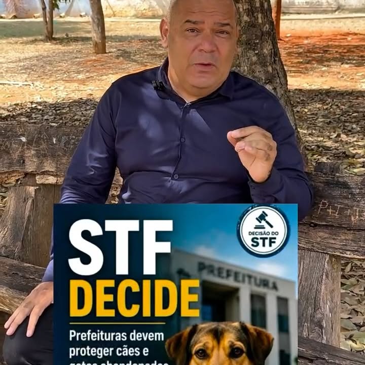 Esse vídeo não contém imagens que exponham o maltrato animal.