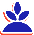 Sul do Maranhão
